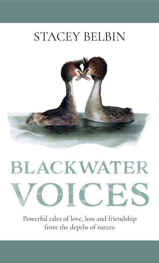 Blackwater Voices
