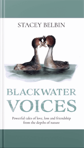 Blackwater Voices book cover